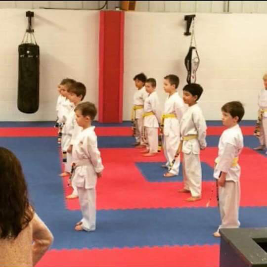 BMMA Shewsbury Academy